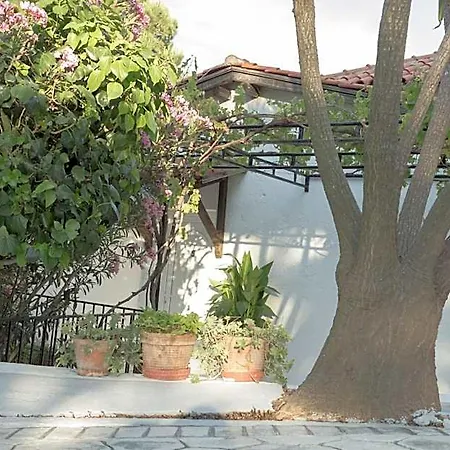 Elpiniki Skiathos stad